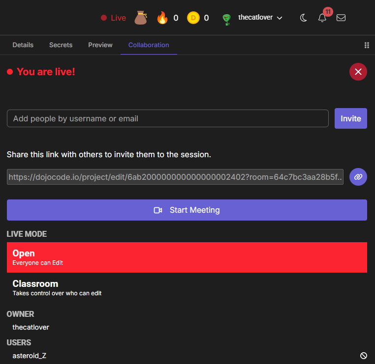 The host panel with a second user listed under USERS and the Live badge in the header